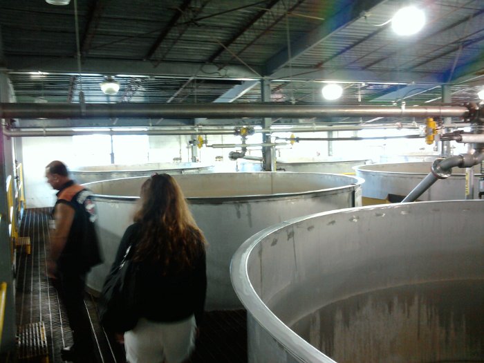 2010-09-13 11.13.45